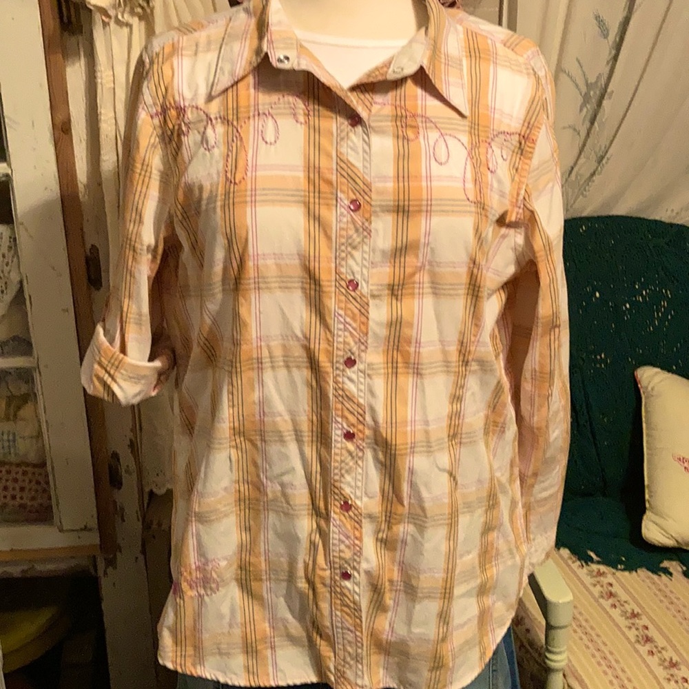 Bit & Bridle western shirt